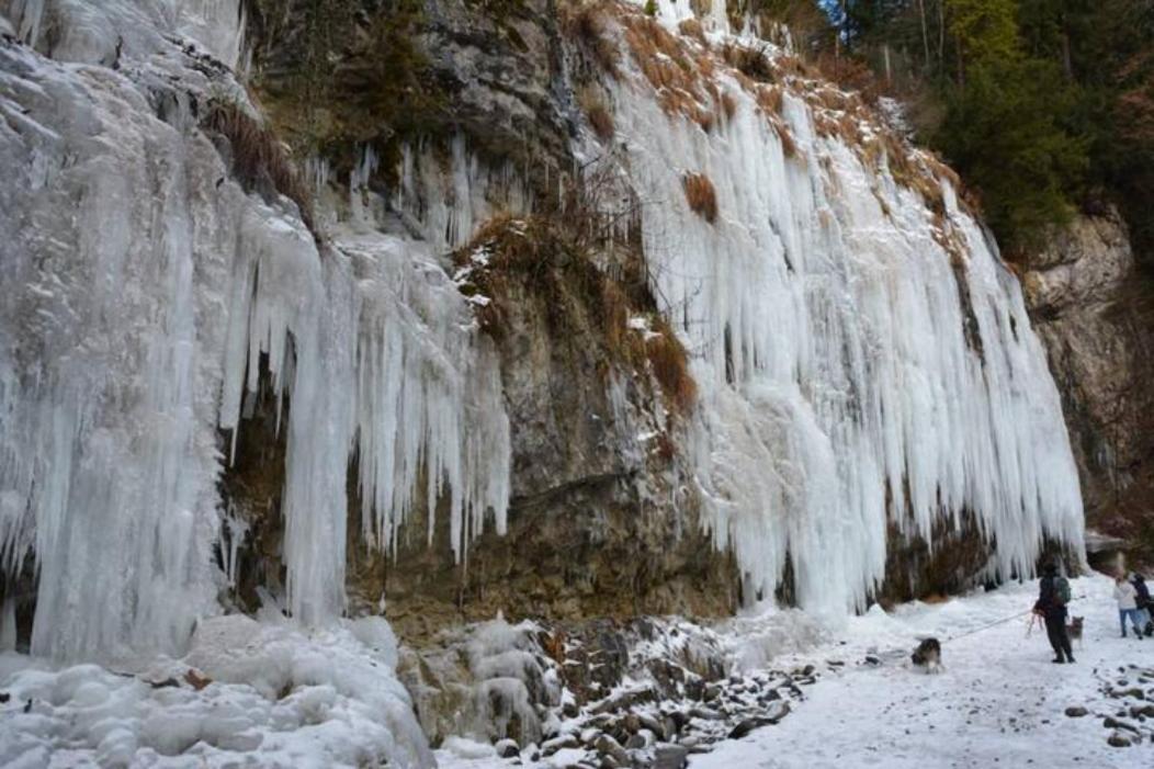 Wohnung Rheintal Im Alpenvorland Batschuns Buitenkant foto
