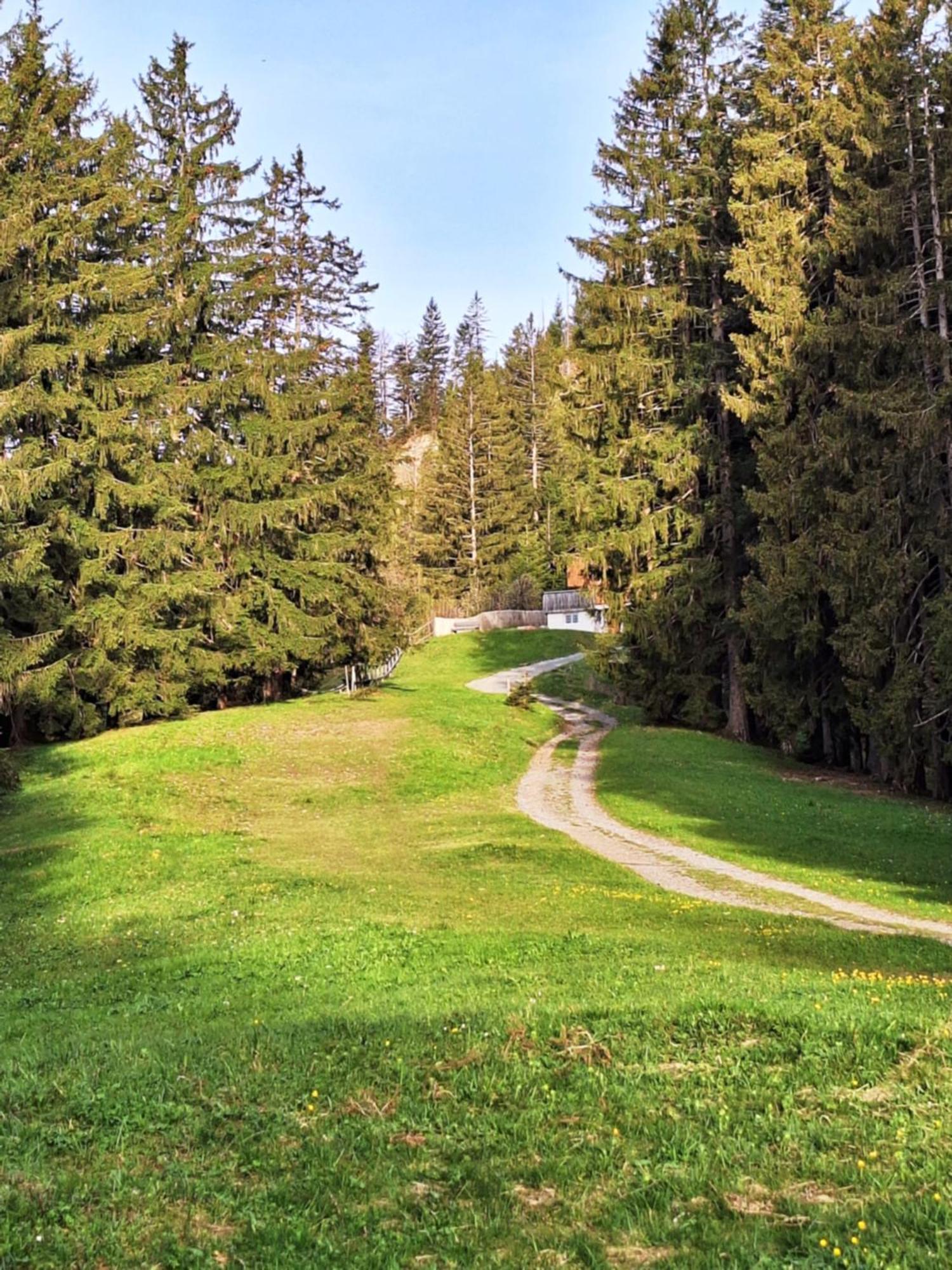 Wohnung Rheintal Im Alpenvorland Batschuns Buitenkant foto